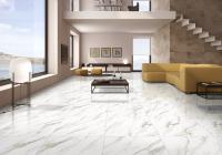 Керамогранит Primavera Ayton Brown Полированный 60x60 см (PR128)