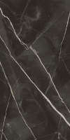 Абсолют Блэк 60x120