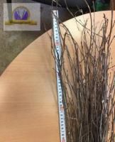 Метла березовая 10 штук